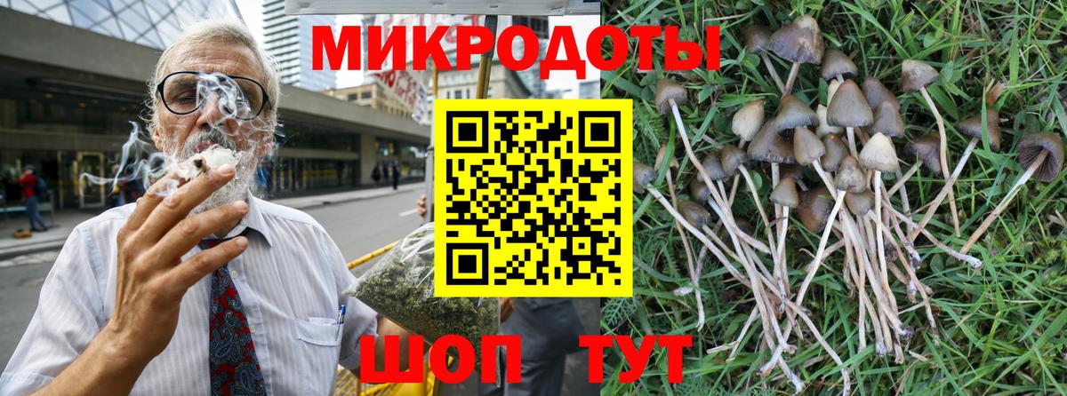 Псилоцибиновые грибы Cubensis  Галлюциногенные грибы GOLDEN TEACHER  Дзержинск  Вход с VPN 